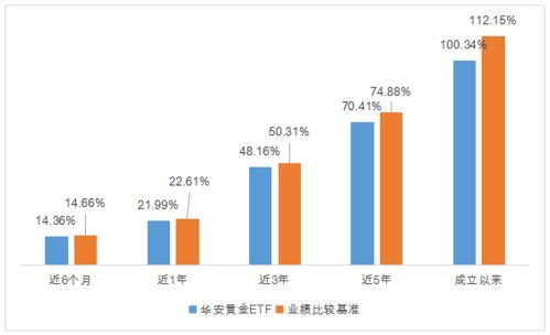 黃金投資迷局 產(chǎn)品眼花繚亂，投資者如何慧眼識金？