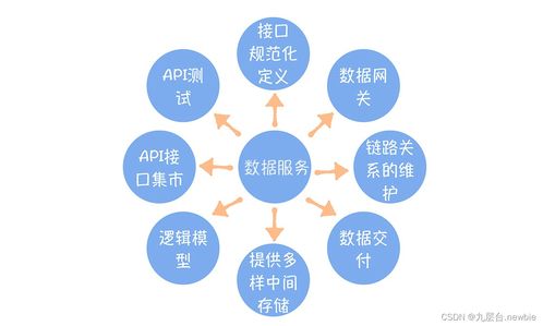 數(shù)據(jù)服務(wù)的內(nèi)涵 超越API的綜合性數(shù)據(jù)處理服務(wù)